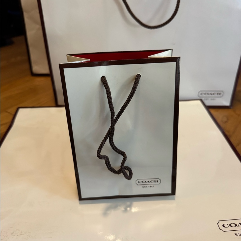 Coach Small White Gift Bag with Brown Trim and Red Interior
